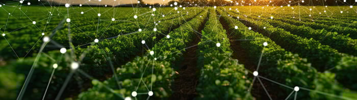 Featured-Image-Half-Are-You-Ready-for-204-(Alayan)