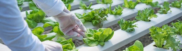 Featured-Image-Half-Are-You-as-an-Importer-Ready-for-FSMA-Traceability-Rule(Suarez)