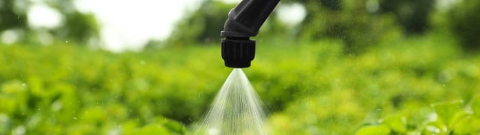 Featured-Image-Half-Investigating-Pesticide-Tolerance(Reeves)