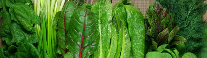 Featured-Image-Half-Navigating-Pesticide-Residue-Testing(FSNS-Rogers)