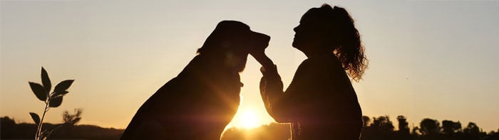 Featured-Image-Half-Pet-Supplement-Industry-on-the-Rise(lombardo)