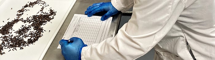 Featured-Image-Half-Unveiling-the-Science-of-Sensing(Certified)